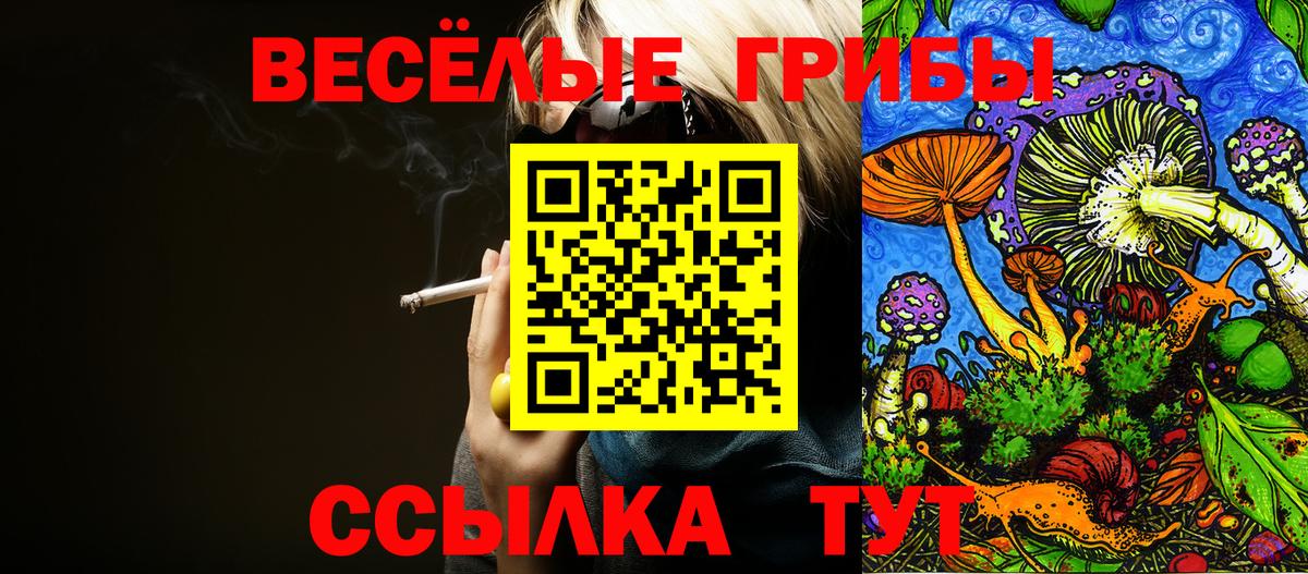 Псилоцибиновые грибы мицелий  Вход с VPN  Вольск  Псилоцибиновые грибы прущие грибы 