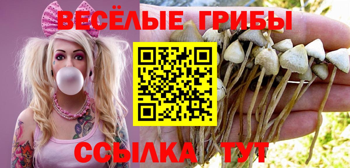 Псилоцибиновые грибы мицелий Вольск